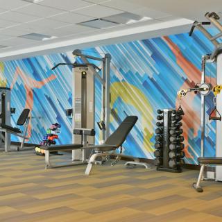 A modern gym featuring various exercise machines and a vibrant, abstract mural on the wall.