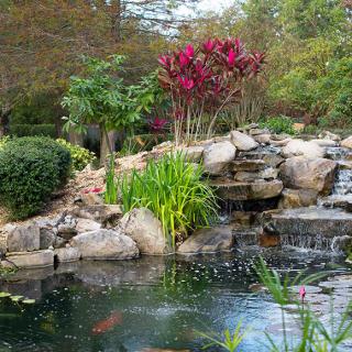 A serene garden pond with a small waterfall surrounded by lush vegetation and rocks.