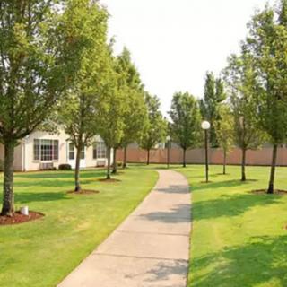 A serene pathway lined with trees and well-manicured lawns.