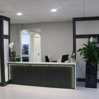 A modern office reception area with a sleek desk and decorative plants.