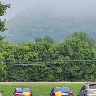 A serene view of fog-covered mountains in the distance, surrounded by lush greenery and parked cars.