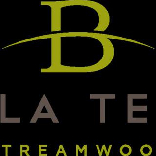 A logo featuring the letter 'B' with stylized text below.