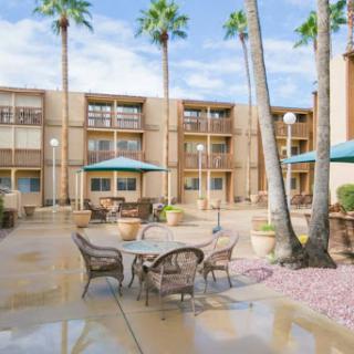 A serene courtyard with palm trees and seating, perfect for relaxation.