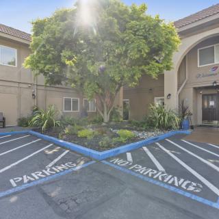 A parking lot in front of a building entrance with a tree and sunlight filtering through.