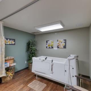 A modern bathroom with a white bathtub, wall artwork, and decorative plants.