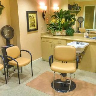 A cozy hair salon featuring a barber chair, mirrors, and lush greenery.