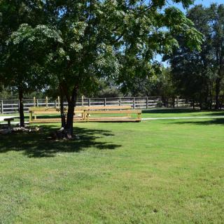 A peaceful park scene with lush green grass, trees, and a wooden fence.