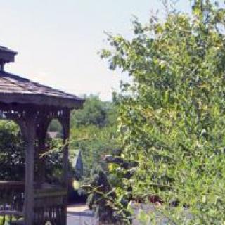 A peaceful garden scene featuring a wooden gazebo surrounded by lush greenery.