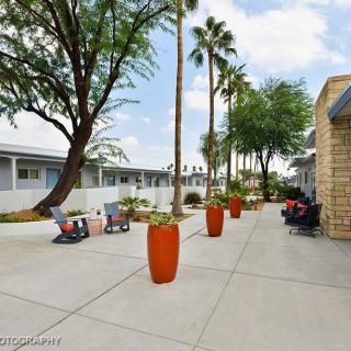 A modern courtyard with palm trees and a seating area for relaxation.