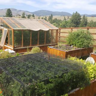 A lush garden with raised beds and a greenhouse in a scenic outdoor setting.