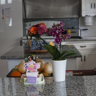 A kitchen countertop featuring a potted orchid and a fruit basket.