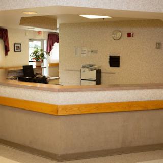 A clean and minimalist reception area with a desk and plants, offering a welcoming atmosphere.