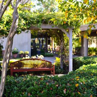 A peaceful garden with a wooden bench under a pergola surrounded by lush greenery.