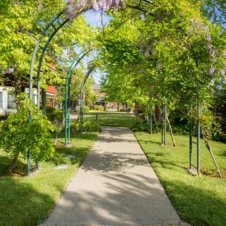 A scenic garden pathway with an archway overhead, surrounded by lush green foliage.