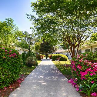 A serene garden pathway surrounded by vibrant flowers and lush trees on a sunny day.