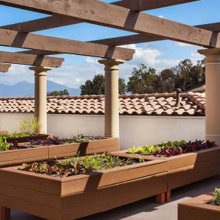 A rooftop garden with wooden planters and a pergola, surrounded by tiled roofing and columns.