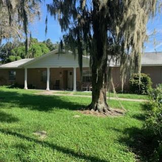 A suburban house with a green lawn and trees on a sunny day, featuring Spanish moss.