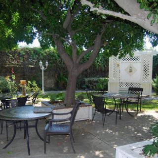 A serene outdoor garden space with tables and chairs under a tree, perfect for relaxation.