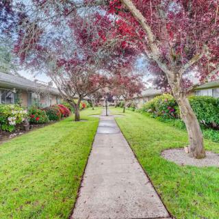 A picturesque path lined with trees and greenery.