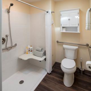 An accessible bathroom with a walk-in shower, grab bars, and a toilet.