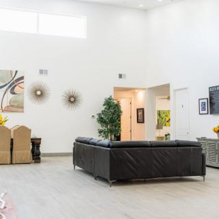 A spacious and modern living room featuring a black leather sofa, contemporary wall art, and an indoor plant with ample natural light.