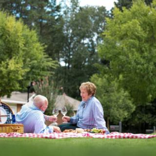 An elderly couple enjoying a picnic in the park on a sunny day.