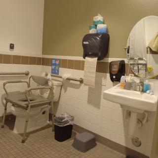 An accessible bathroom featuring grab bars, a sink, and a toilet paper dispenser.