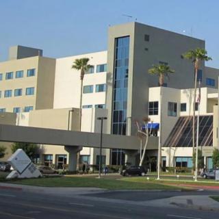 A modern hospital building with palm trees in the foreground.