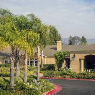 A suburban house with palm trees and well-maintained landscaping.
