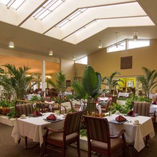 A well-lit restaurant interior featuring greenery and neatly set tables under a skylight.