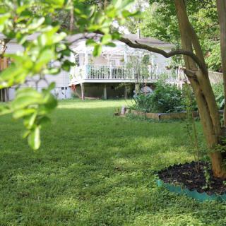 A tranquil backyard garden with lush green grass and trees.