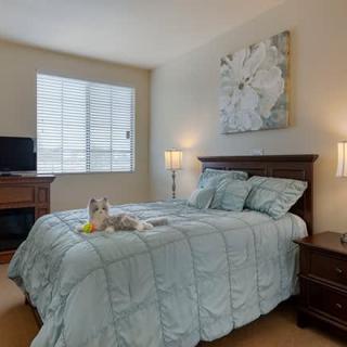 A cozy bedroom with a neatly made bed, soft lighting, and elegant decor.