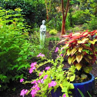 A vibrant garden featuring diverse foliage, colorful flowers, and a serene statue centerpiece.