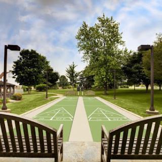 A serene park view featuring benches overlooking a shuffleboard court amidst lush greenery.