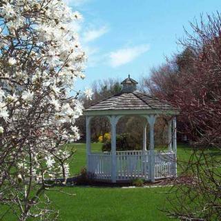 A scenic view of a white gazebo surrounded by blossoming trees and green grass in a garden setting under a clear blue sky.