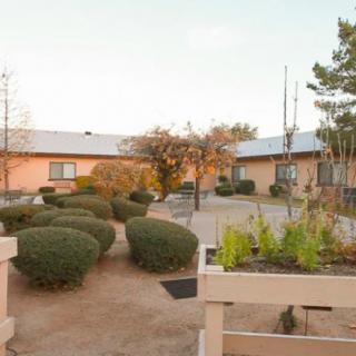 A desert courtyard with neatly trimmed bushes, trees, and low buildings under a sunset sky.