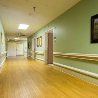 A well-lit corridor in a healthcare facility, featuring green walls and wooden flooring.