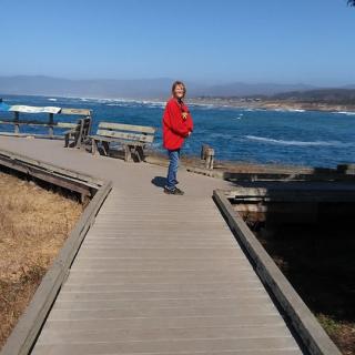 A person in a red jacket stands on a wooden walkway overlooking the ocean.