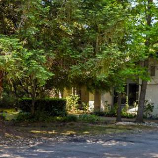 A residential house surrounded by lush green trees and foliage, with a street view in the foreground.