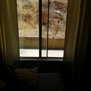A view from inside a room looking through a window with curtains, showing an outdoor scene.