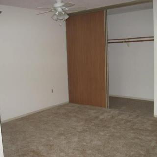An empty room with a carpeted floor, ceiling fan, and sliding closet doors.