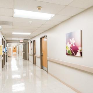 A clean and well-lit hospital corridor with artwork on the walls.