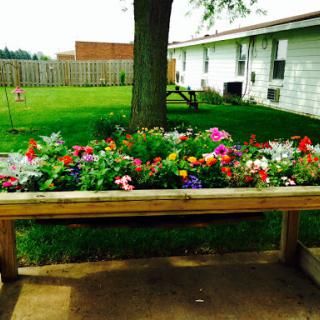 A vibrant flower garden displayed on a wooden bench, bringing life to the outdoor space.
