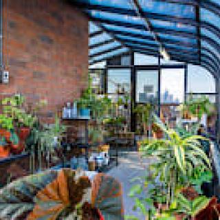 A lush indoor greenhouse with a variety of plants and a city view in the background.