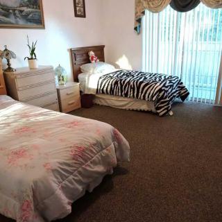 A bedroom with two twin beds featuring floral and zebra print bedding, a dresser, and natural light coming through large curtains.