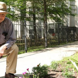 A man wearing a hat is tending to a garden outdoors on a sunny day.
