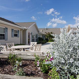 A sunny outdoor patio area with garden plants and seating.