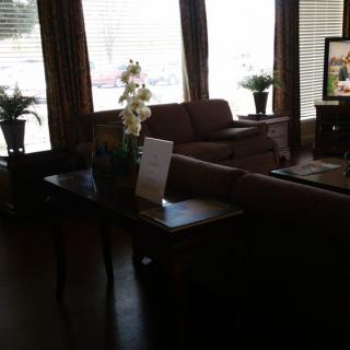 A cozy living room with sofas, a coffee table, and decorative plants.