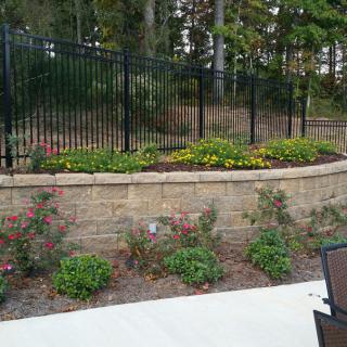 A landscaped garden with a stone retaining wall, metal fence, and neatly arranged flowers.