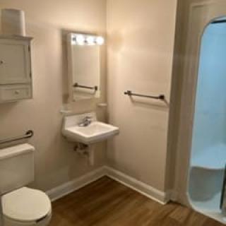 A modern bathroom with a sink, mirror, toilet, and shower.